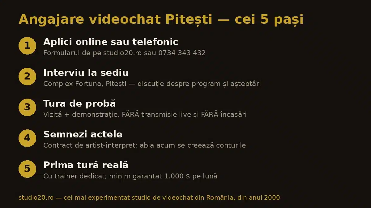 Infografic: cei 5 pași ai angajării în videochat la Pitești